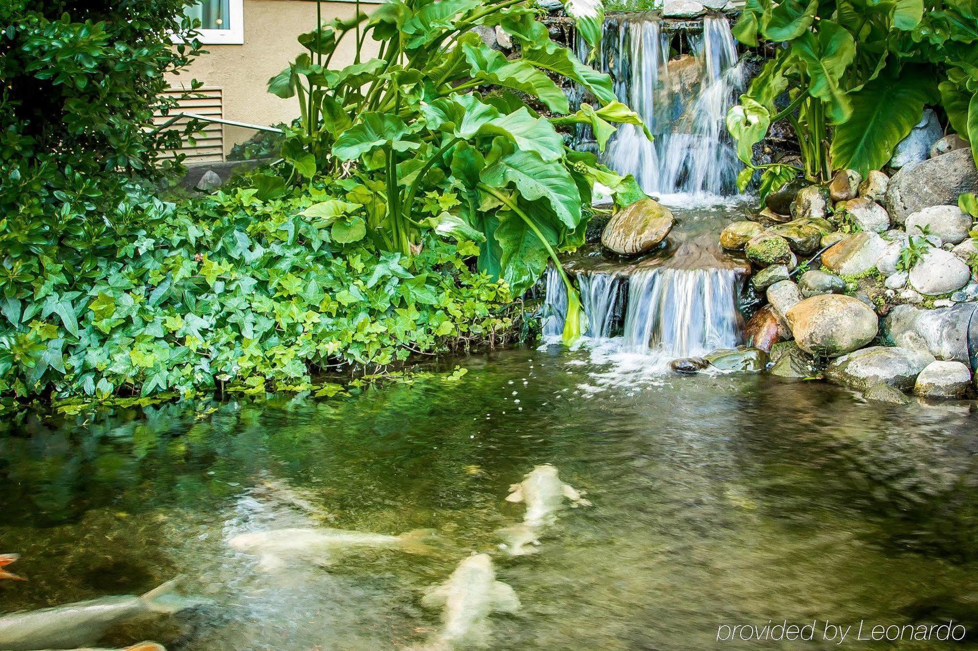 Comfort Inn Modesto Esterno foto